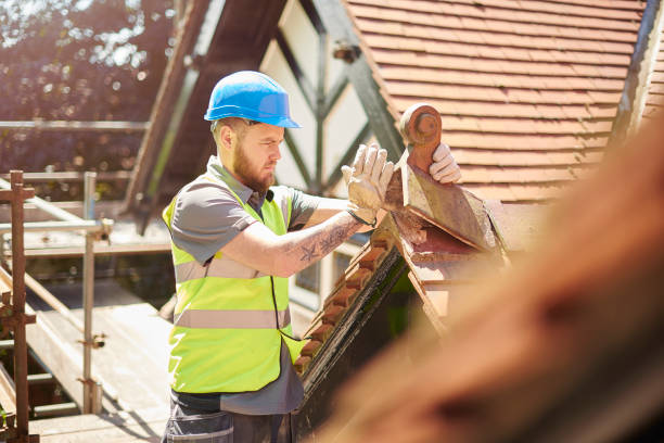 Roof Gutter Cleaning in Gloverville, SC